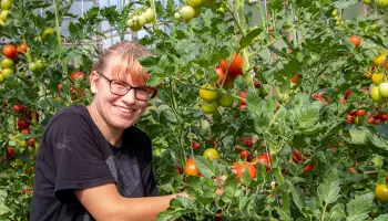 Ausbildung ohne Berufsschule in der Bioland-Gärtnerei in Borgfeld